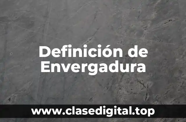 Definición de Envergadura