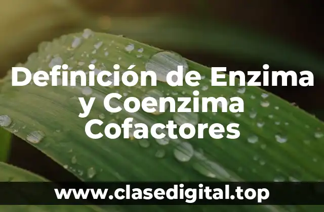 Definición de Enzima y Coenzima Cofactores