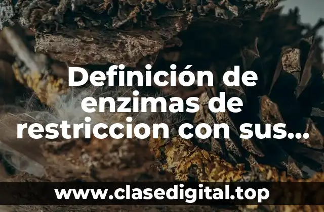 Definición de enzimas de restriccion con sus secuencias diana