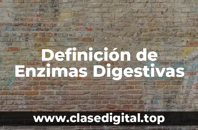 Ejemplos de Enzimas Digestivas
