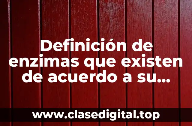 Definición de enzimas que existen de acuerdo a su función