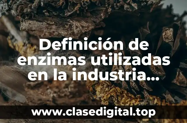 Definición de enzimas utilizadas en la industria alimentaria
