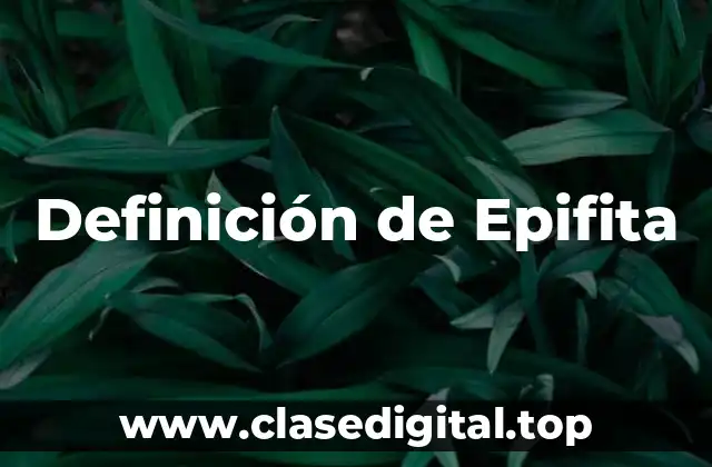 Definición de Epifita