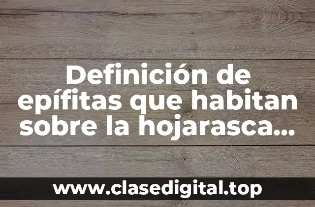 Definición de epífitas que habitan sobre la hojarasca del suelo