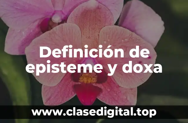 Definición de episteme y doxa