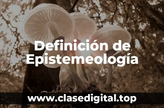 Definición de Epistemeología