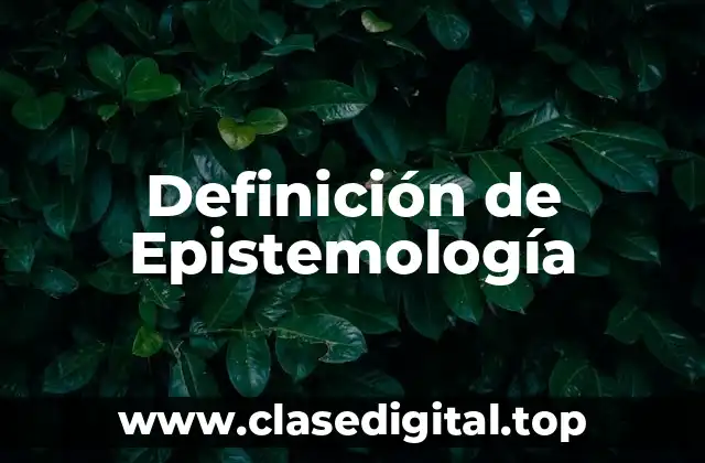Definición de Epistemología