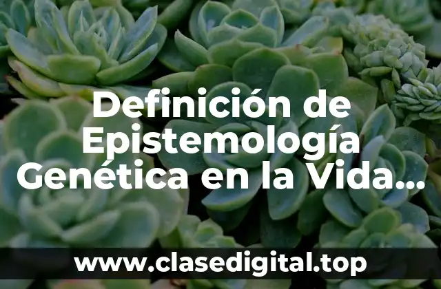 Definición de Epistemología Genética en la Vida Cotidiana