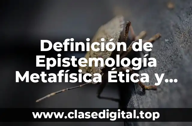 Definición de Epistemología Metafísica Ética y Lógica