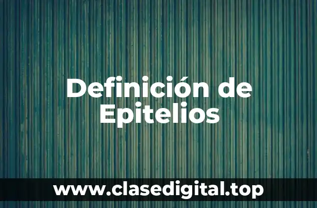 Definición de Epitelios