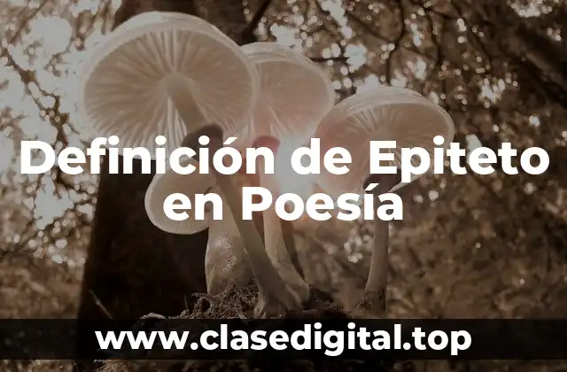 Definición de Epiteto en Poesía