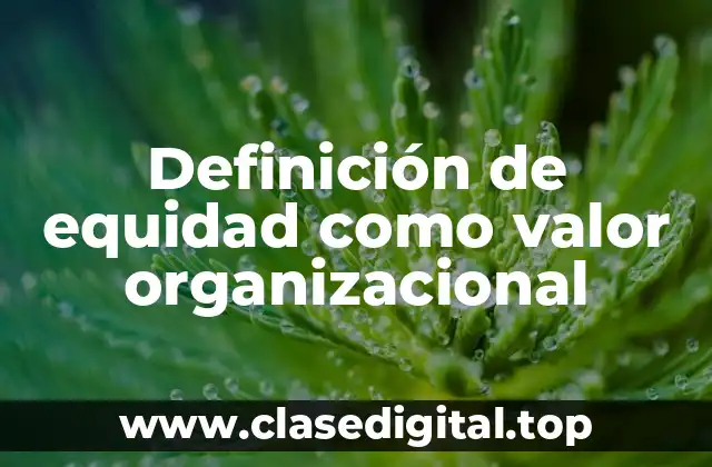 Definición técnica de equidad como valor organizacional