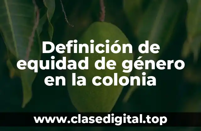 Ejemplos de equidad de género en la colonia