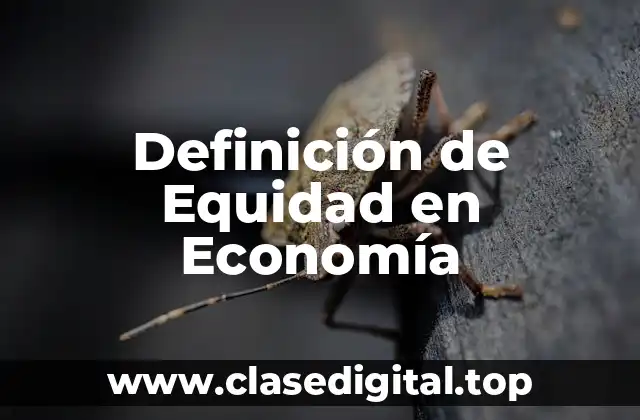 Definición de Equidad en Economía