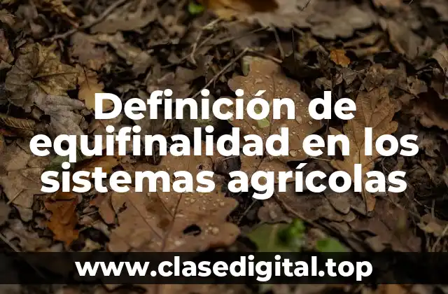 Definición técnica de equifinalidad en los sistemas agrícolas