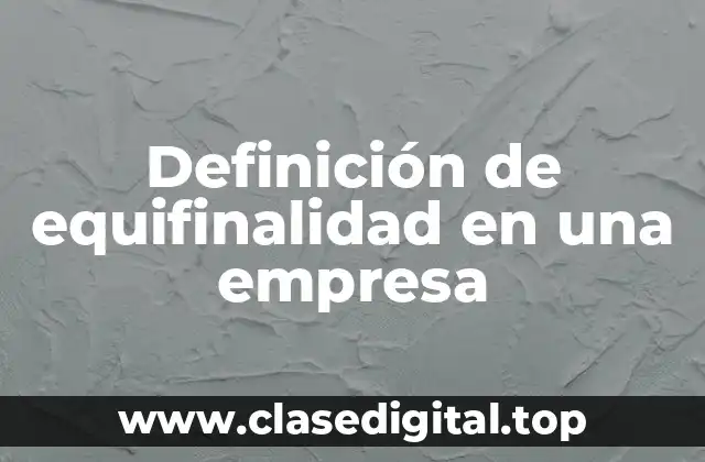 Definición de equifinalidad en una empresa