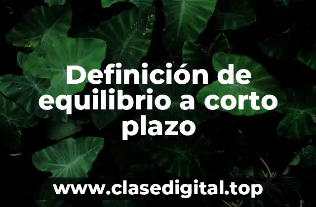 Definición de equilibrio a corto plazo