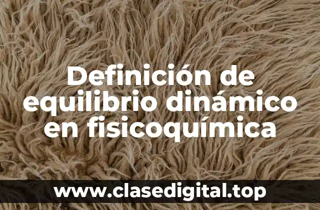 Definición de equilibrio dinámico en fisicoquímica