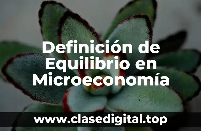 Definición de Equilibrio en Microeconomía