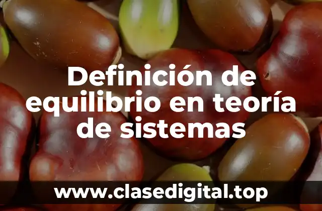 Definición de equilibrio en teoría de sistemas