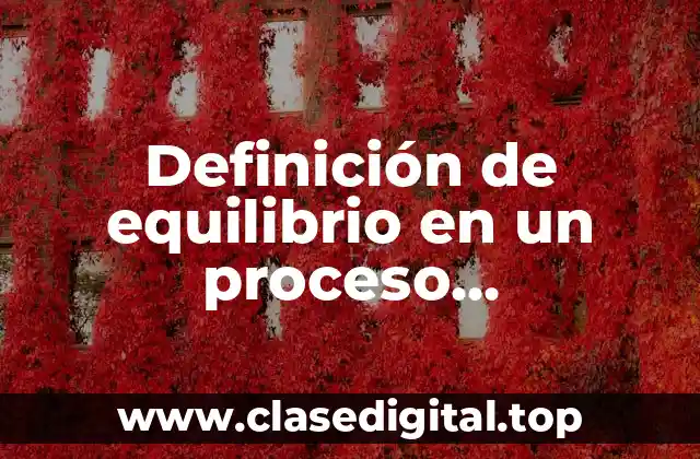 Definición de equilibrio en un proceso termodinámico