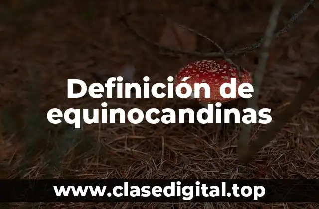 Definición de equinocandinas