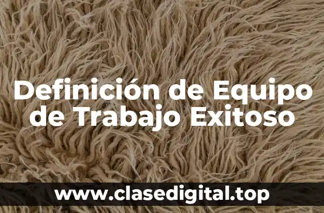 Definición de Equipo de Trabajo Exitoso