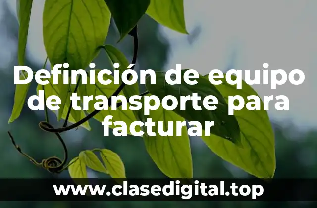 Definición de equipo de transporte para facturar