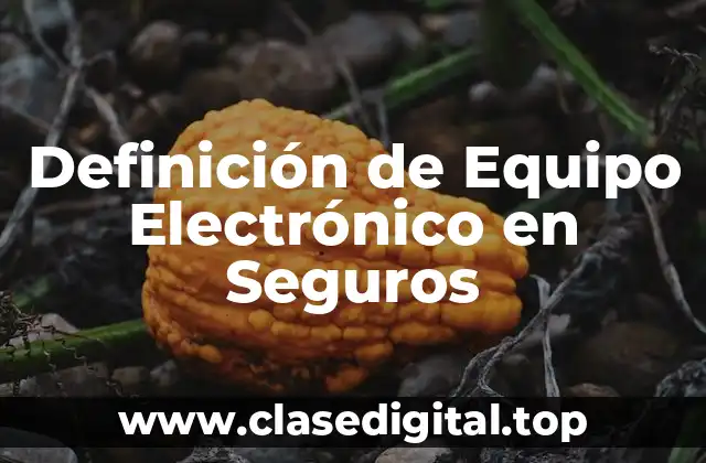 Definición de Equipo Electrónico en Seguros