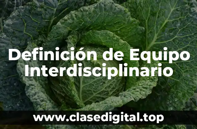 Definición de Equipo Interdisciplinario