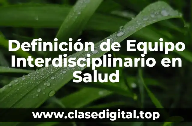 Ejemplos de equipo interdisciplinario en salud