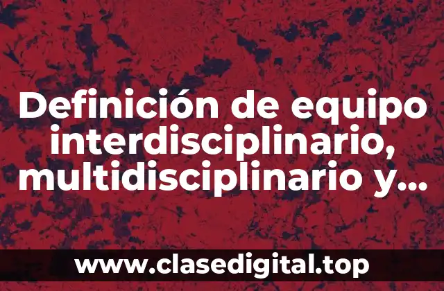 Definición de equipo interdisciplinario, multidisciplinario y transdisciplinario