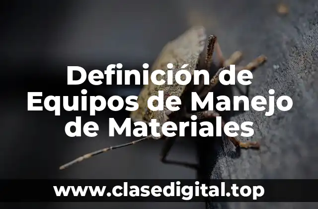 Definición técnica de Equipos de Manejo de Materiales