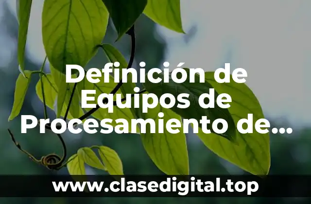 Definición de Equipos de Procesamiento de Información