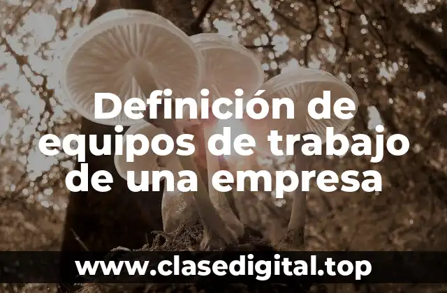 Definición de equipos de trabajo de una empresa