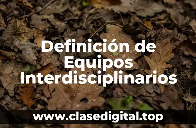Ejemplos de Equipos Interdisciplinarios