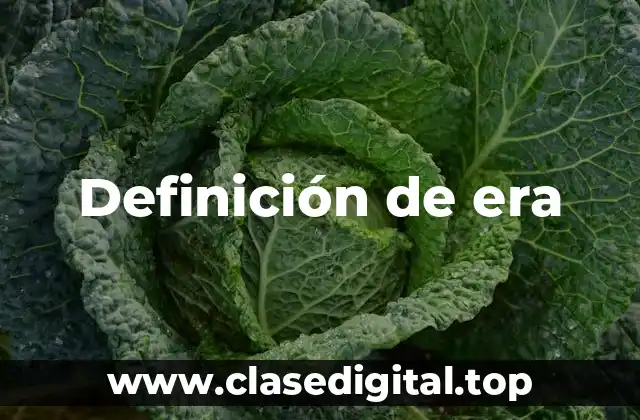 Definición técnica de era