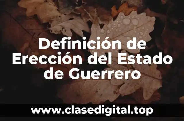 Definición de Erección del Estado de Guerrero