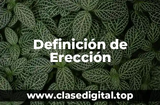 Definición de Erección