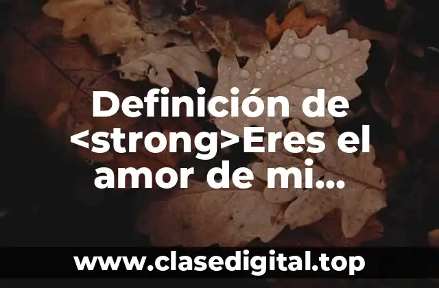 Definición de <strong>Eres el amor de mi vida</strong>