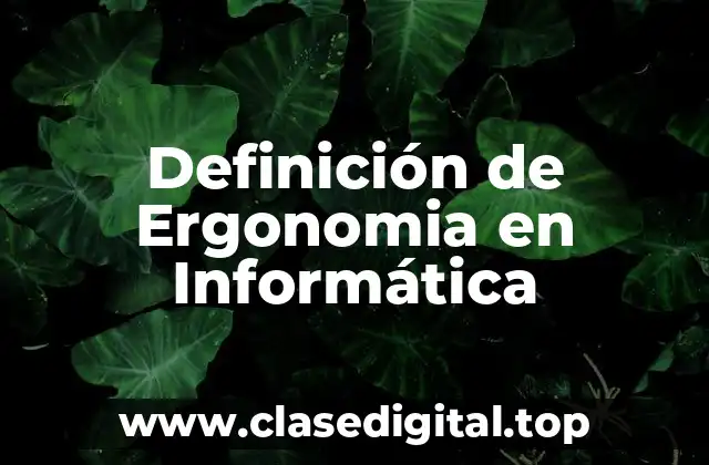 Definición de Ergonomia en Informática