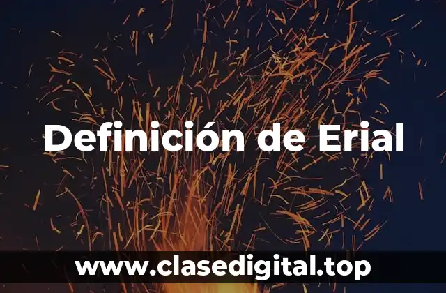 Definición de Erial