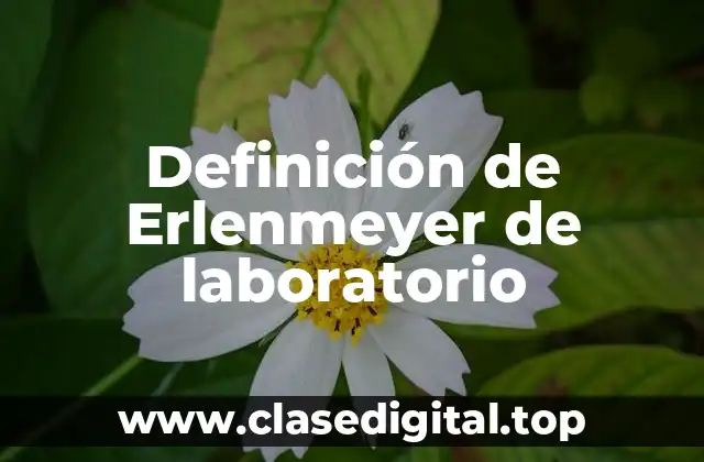Definición de Erlenmeyer de laboratorio