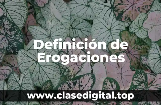 Definición de Erogaciones