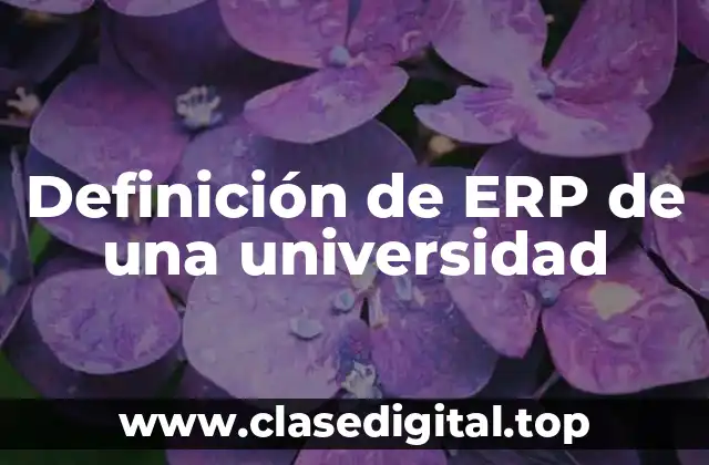 Definición de ERP de una universidad