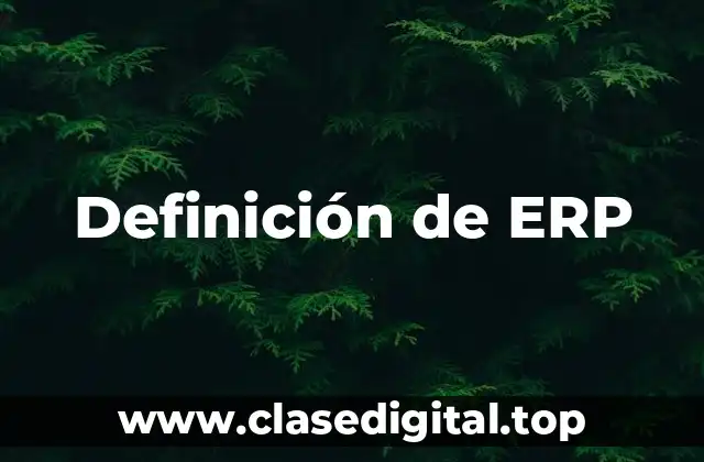 Definición de ERP