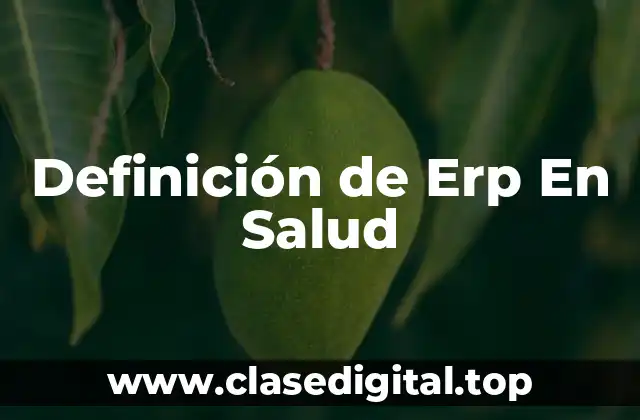 Definición de Erp En Salud