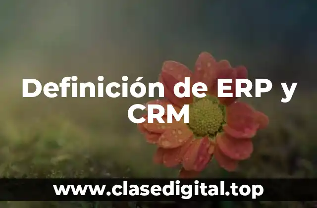 Definición de ERP y CRM