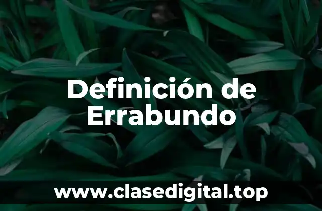 Definición de Errabundo