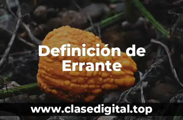 Definición de Errante
